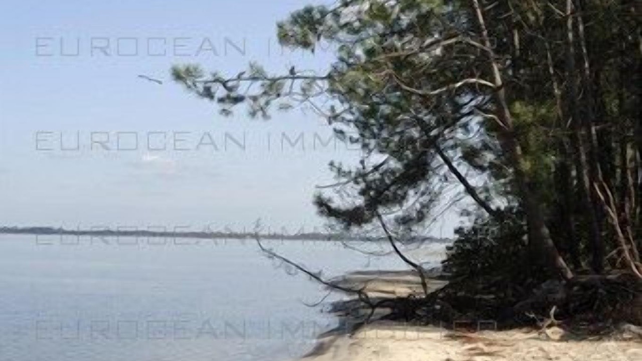 Photo of Others in Lacanau-Ocean