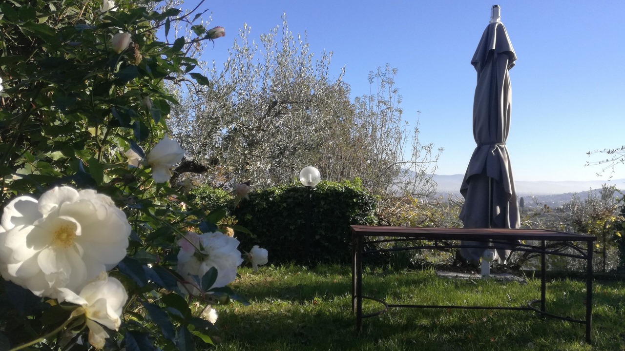 Photo of Outdoor in Quarrata