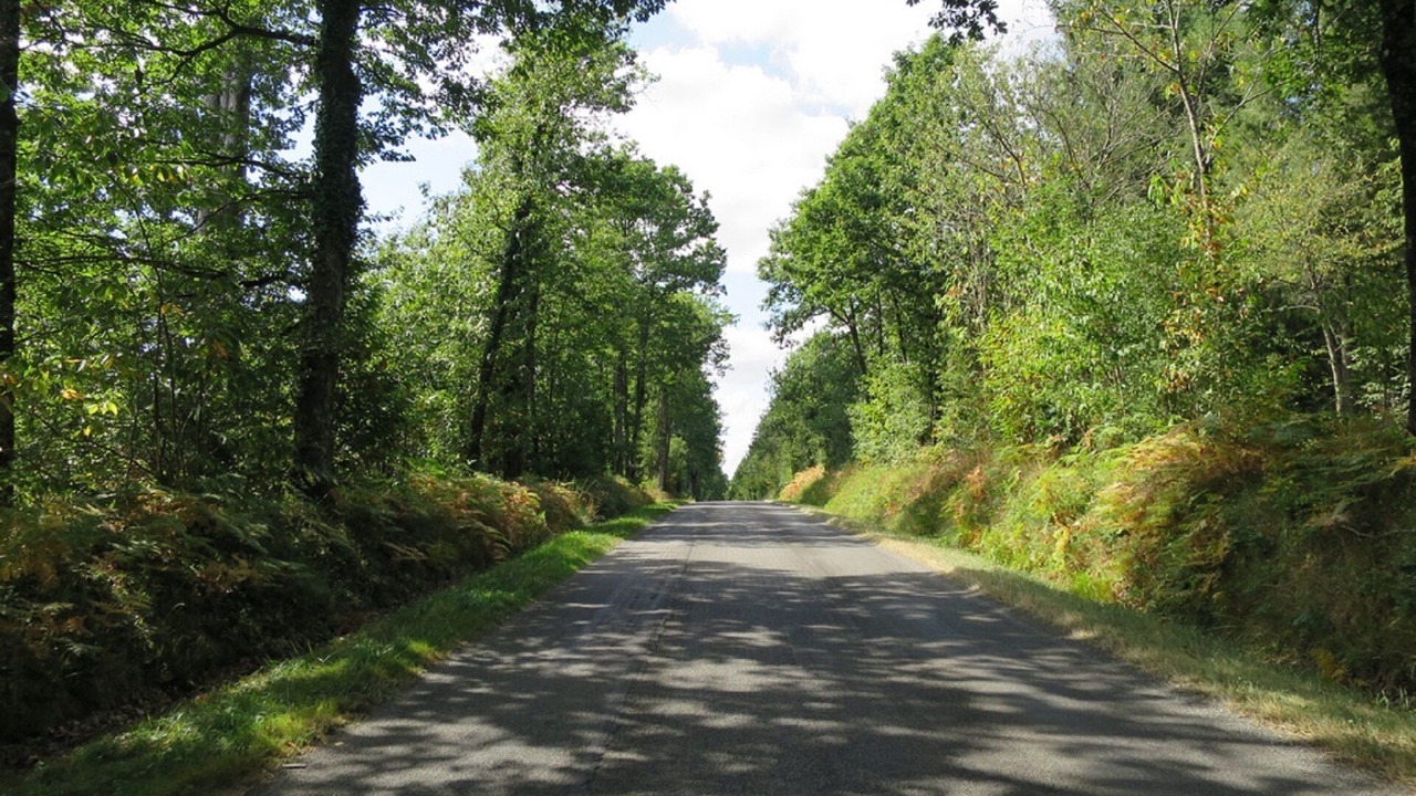 Photo of Others in Chasseneuil-sur-Bonnieure
