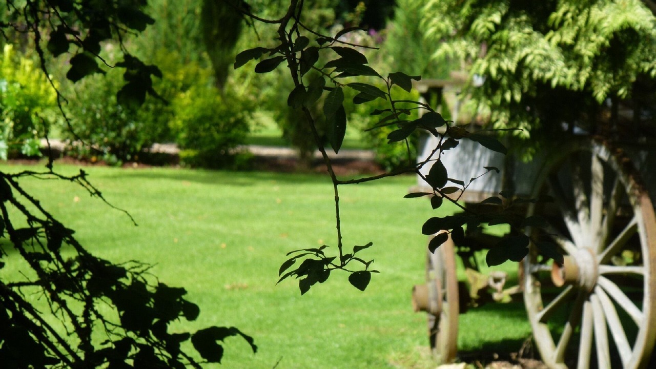 Photo of Outdoor in Chasseneuil-sur-Bonnieure