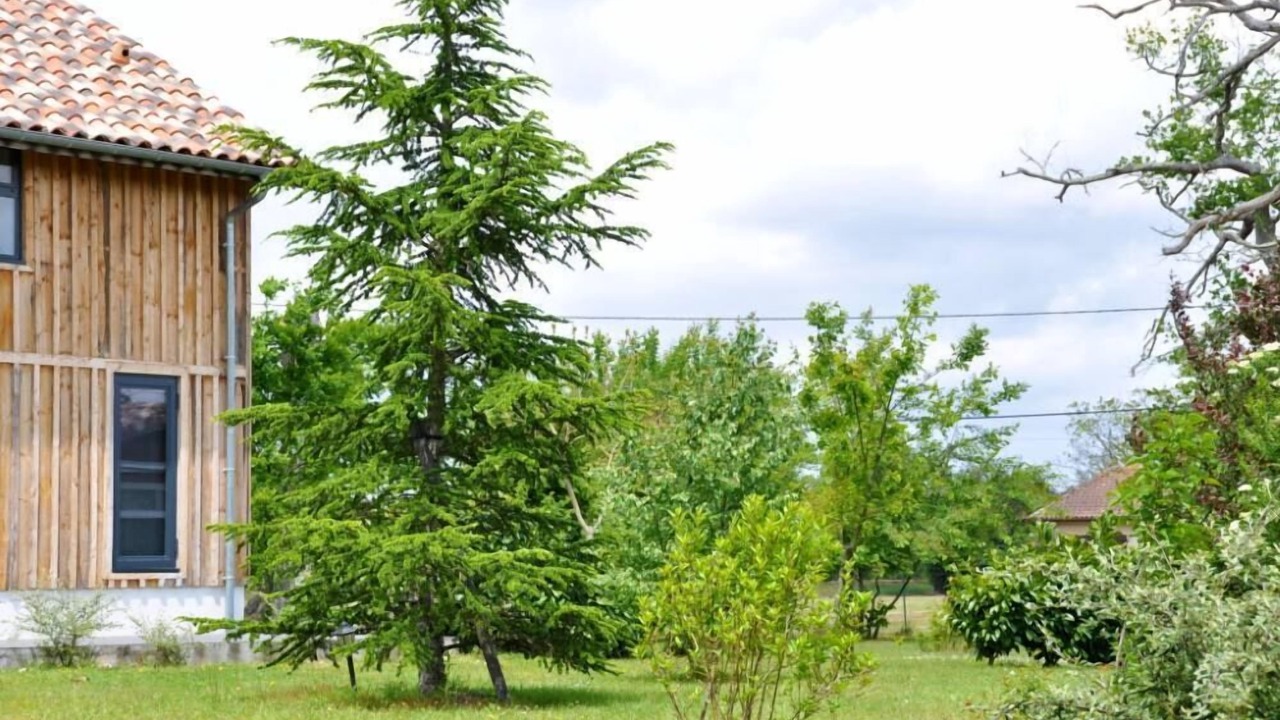 Photo of Outdoor in Escource