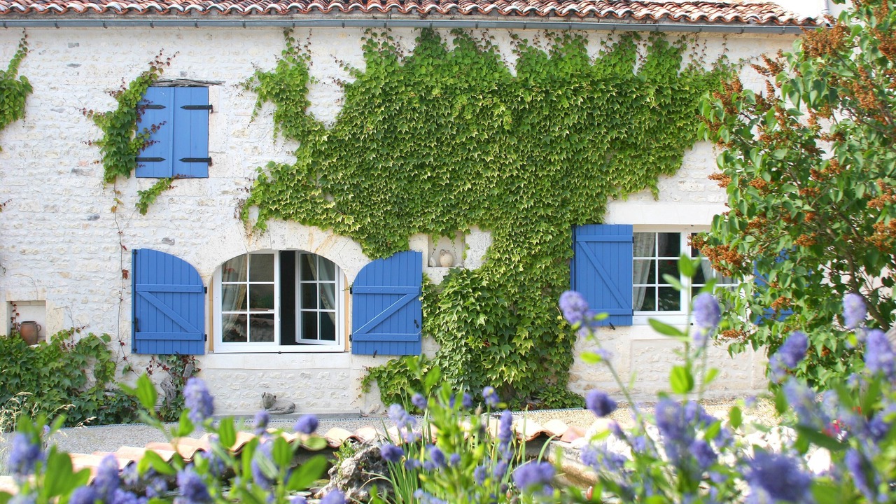 Photo of Outdoor in Segonzac