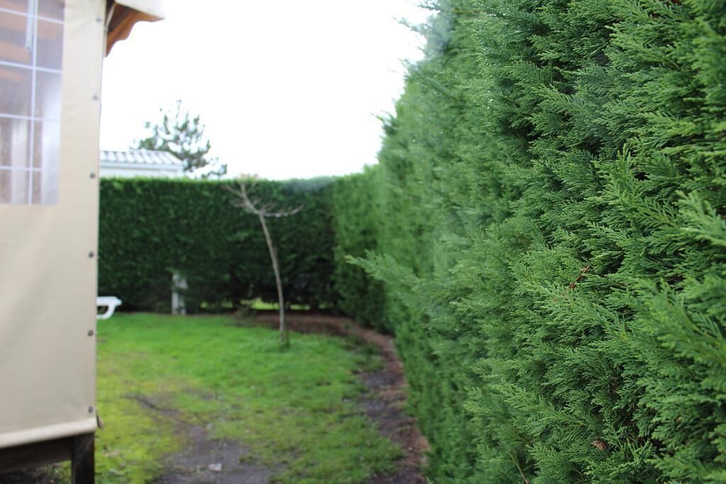 Photo of Outdoor in Les Mathes