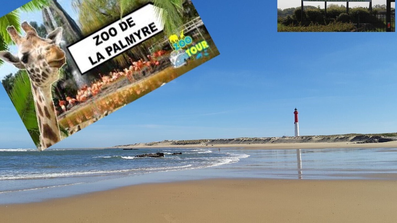 Photo of Others in Les Mathes