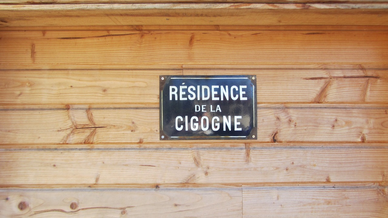 Photo of Outdoor in Saint-Thomas-de-Conac