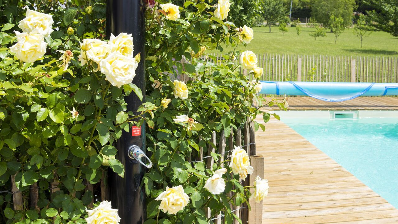 Photo of Outdoor in Saint-Thomas-de-Conac