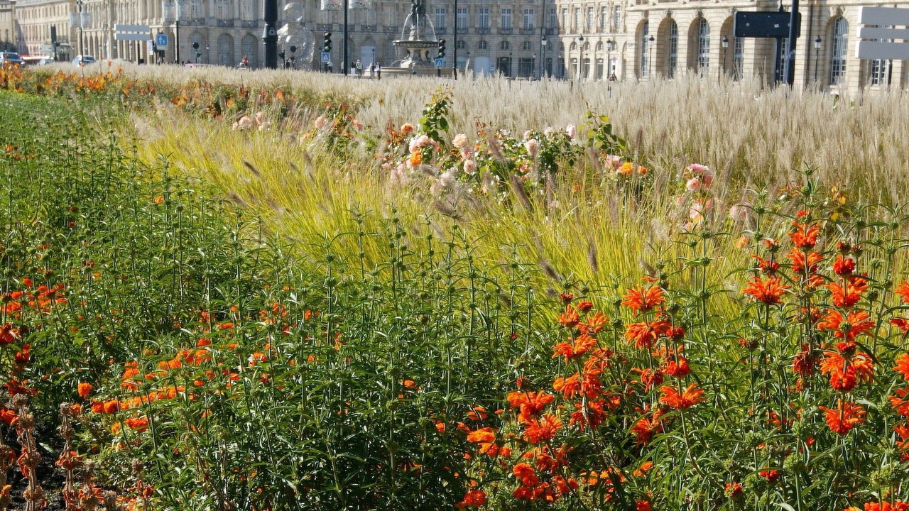 Photo of Others in Saint-Caprais-de-Bordeaux