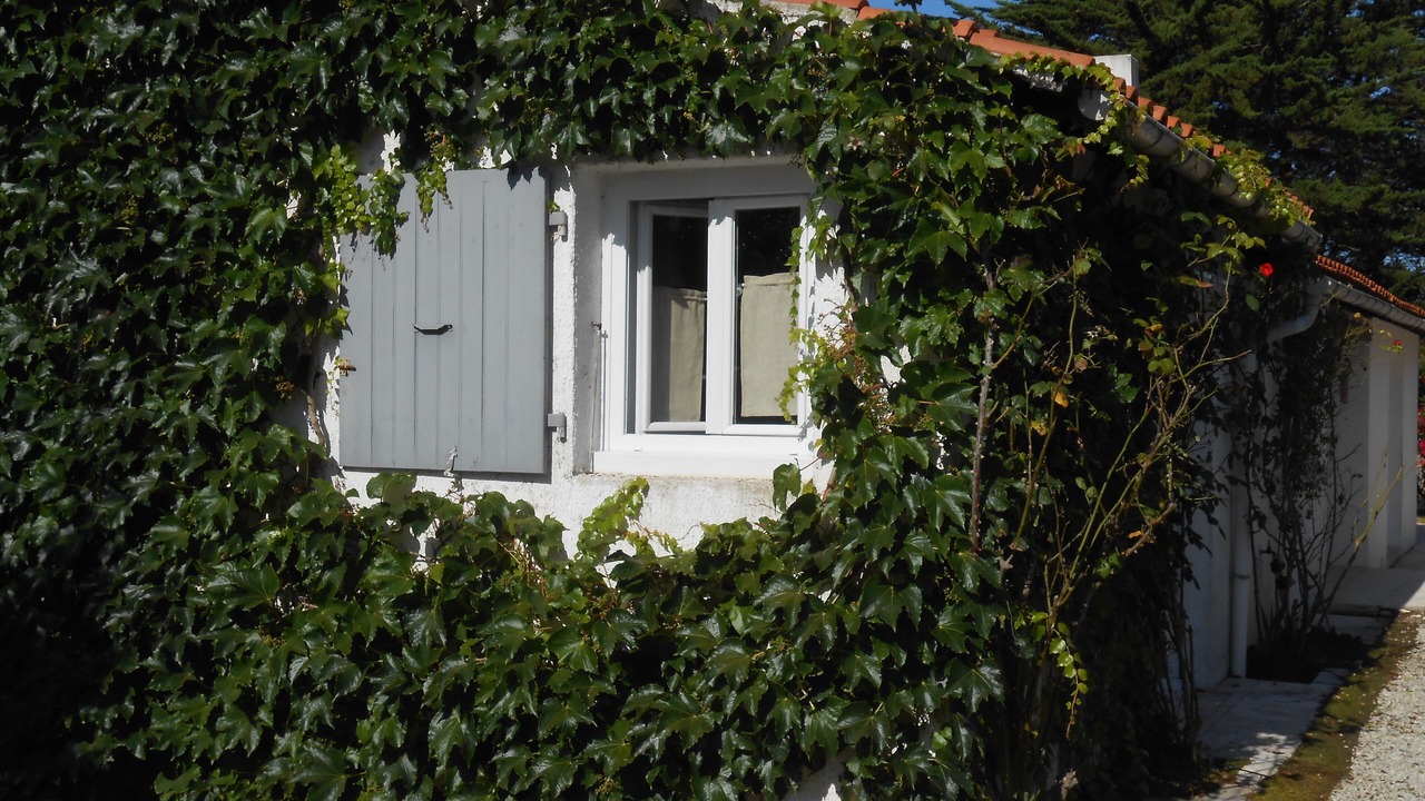 Photo of Outdoor in Les Portes-en-Re