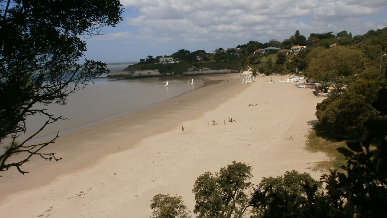 Photo of Others in Meschers-sur-Gironde