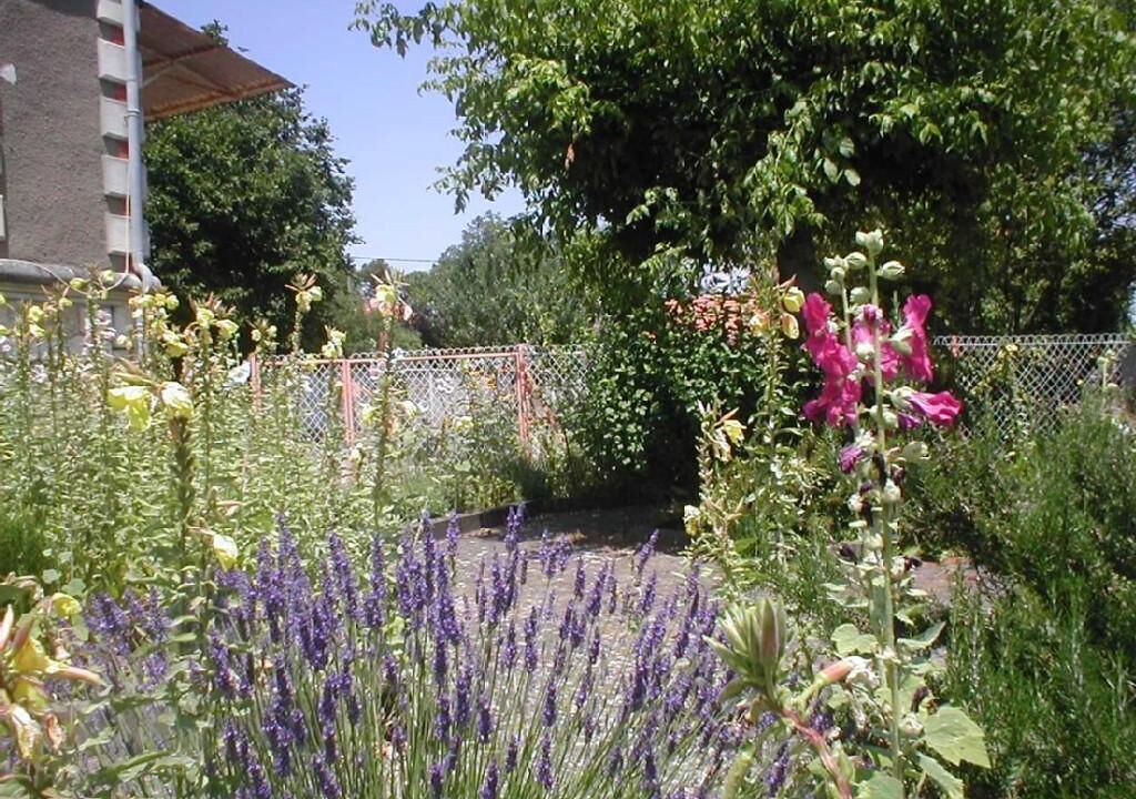 Photo of Outdoor in Meschers-sur-Gironde