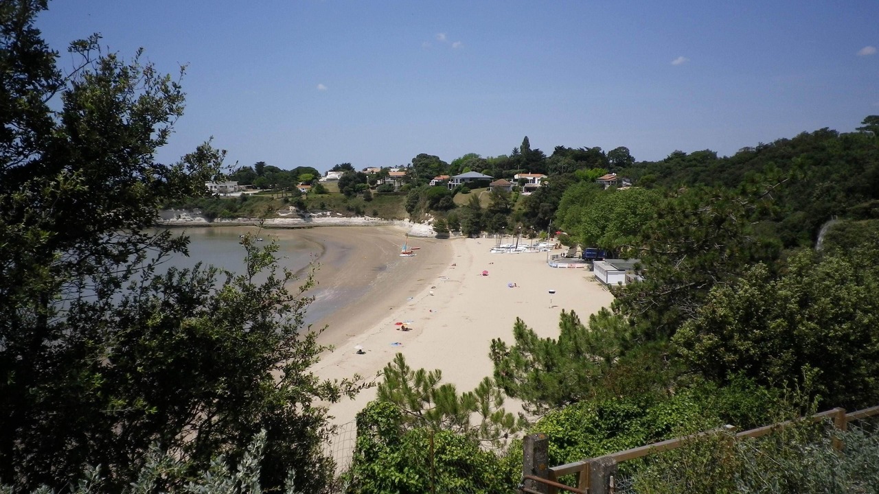 Photo of Others in Meschers-sur-Gironde