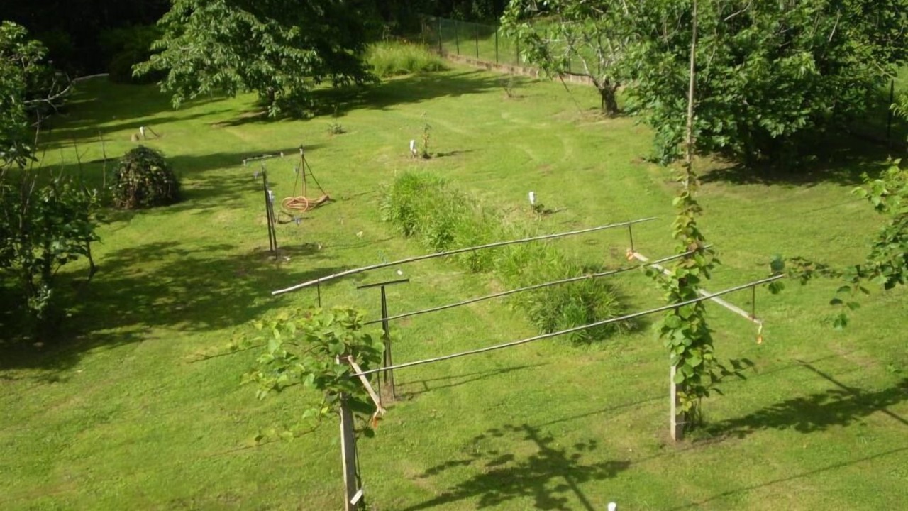 Photo of Outdoor in Creysse
