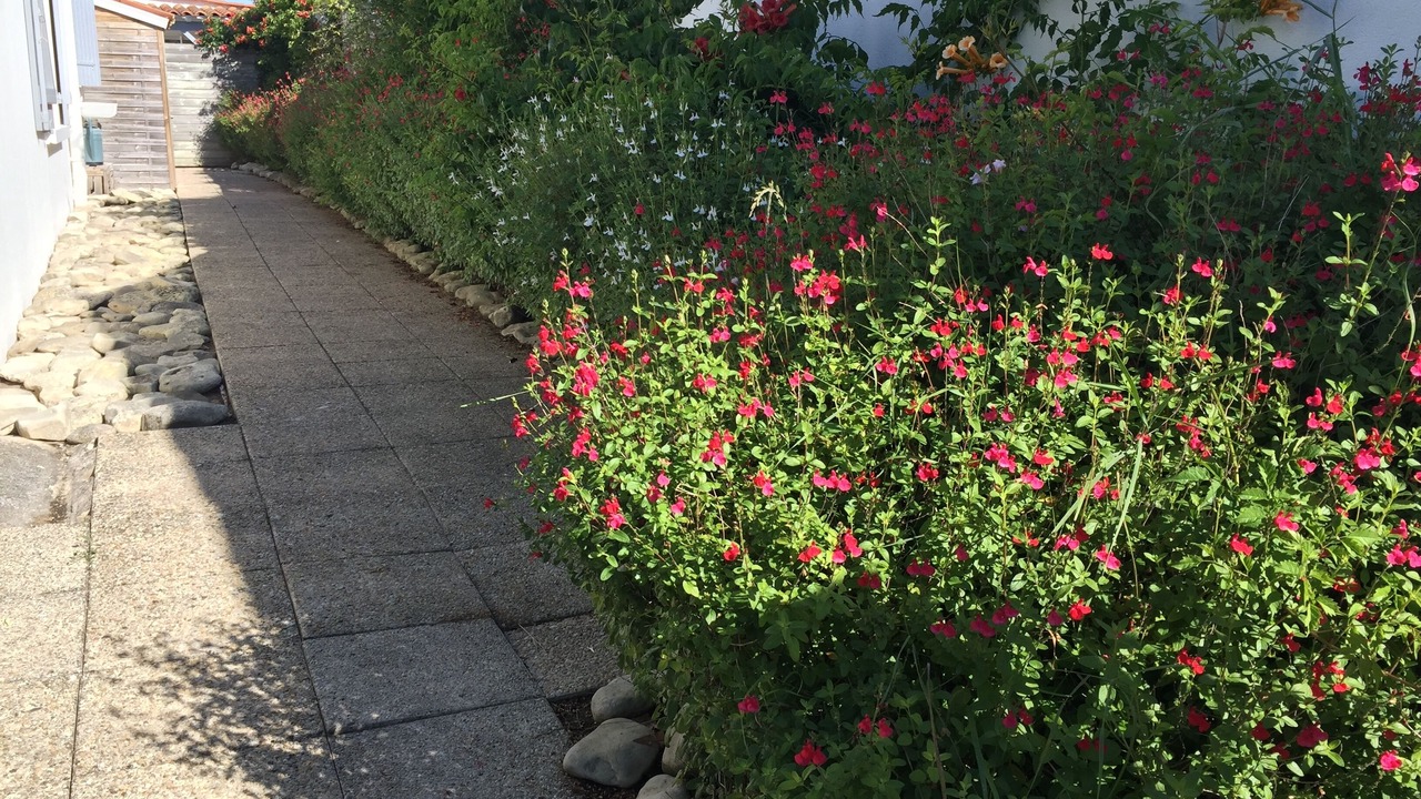 Photo of Outdoor in La Flotte