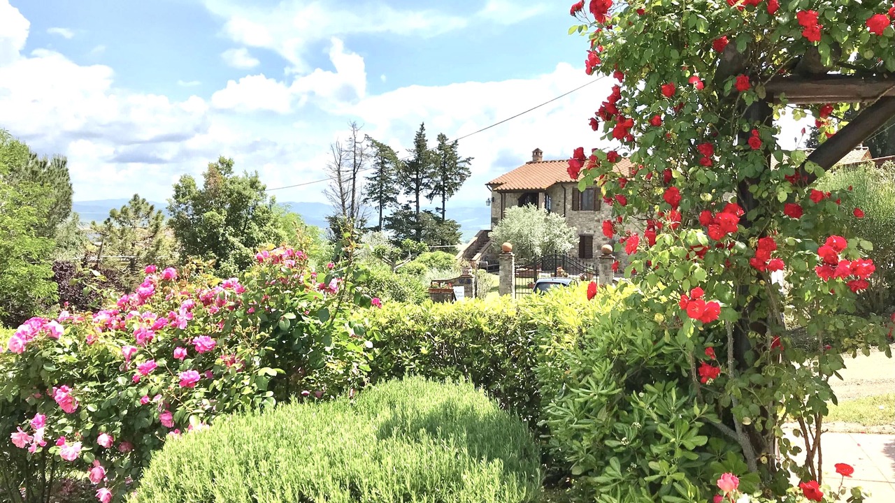 Photo of Outdoor in Montecatini Val di Cecina