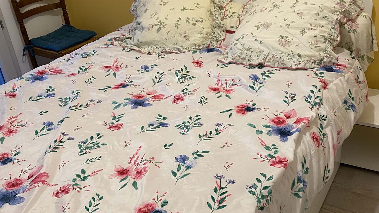 Photo of Bedroom in Gujan-Mestras