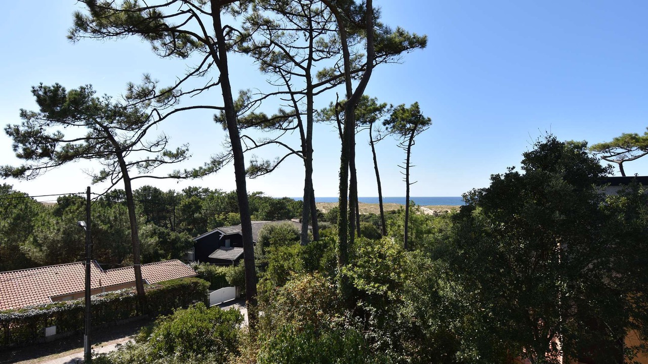 Photo of Outdoor in Soorts-Hossegor