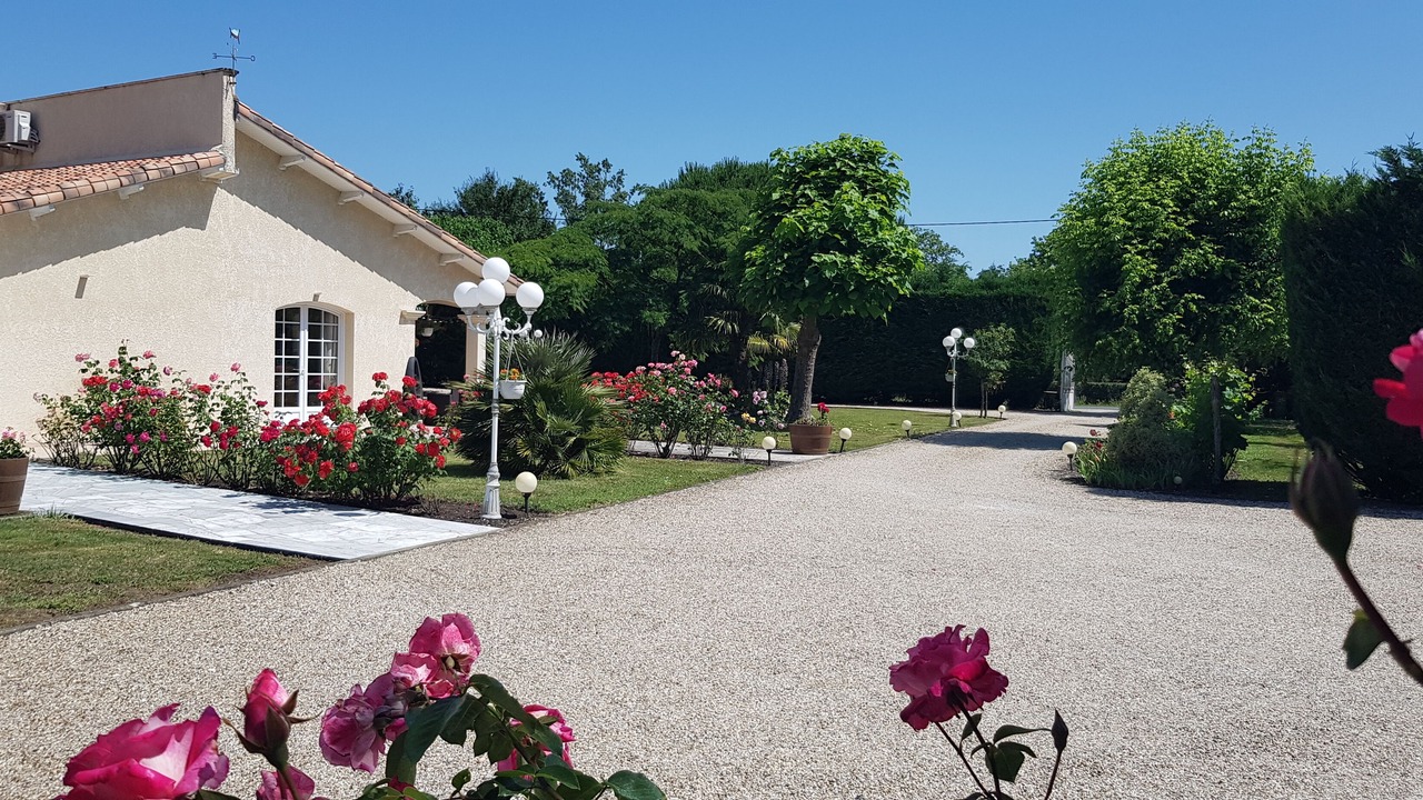 Photo of Outdoor in Begadan