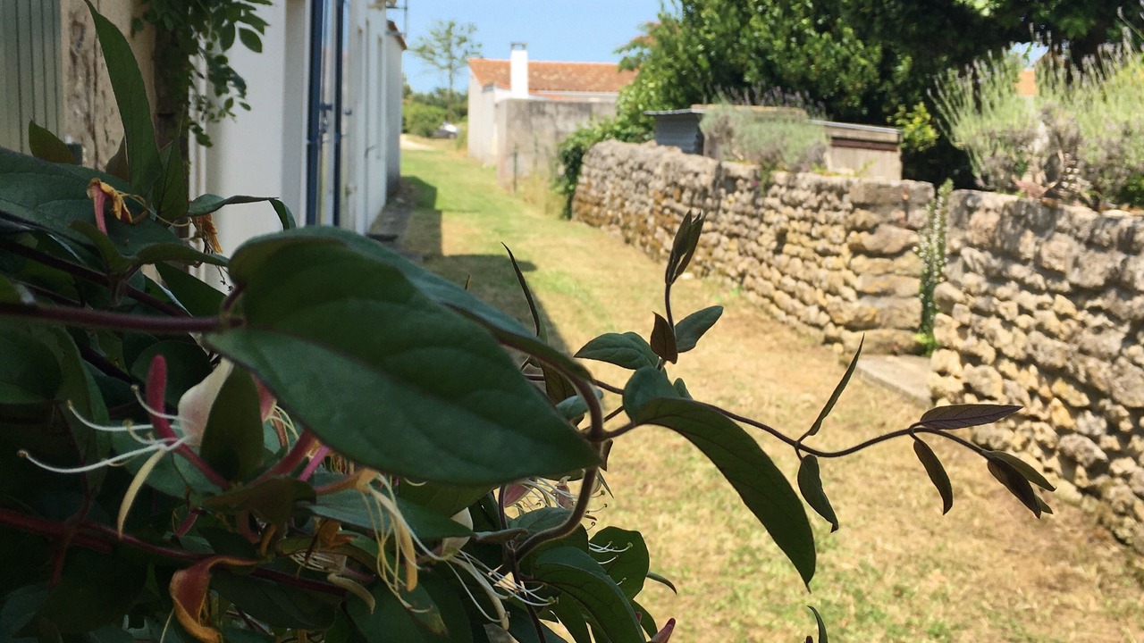 Photo of Outdoor in L'Echardiere