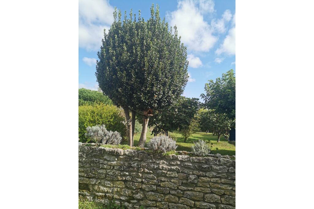 Photo of Outdoor in L'Echardiere