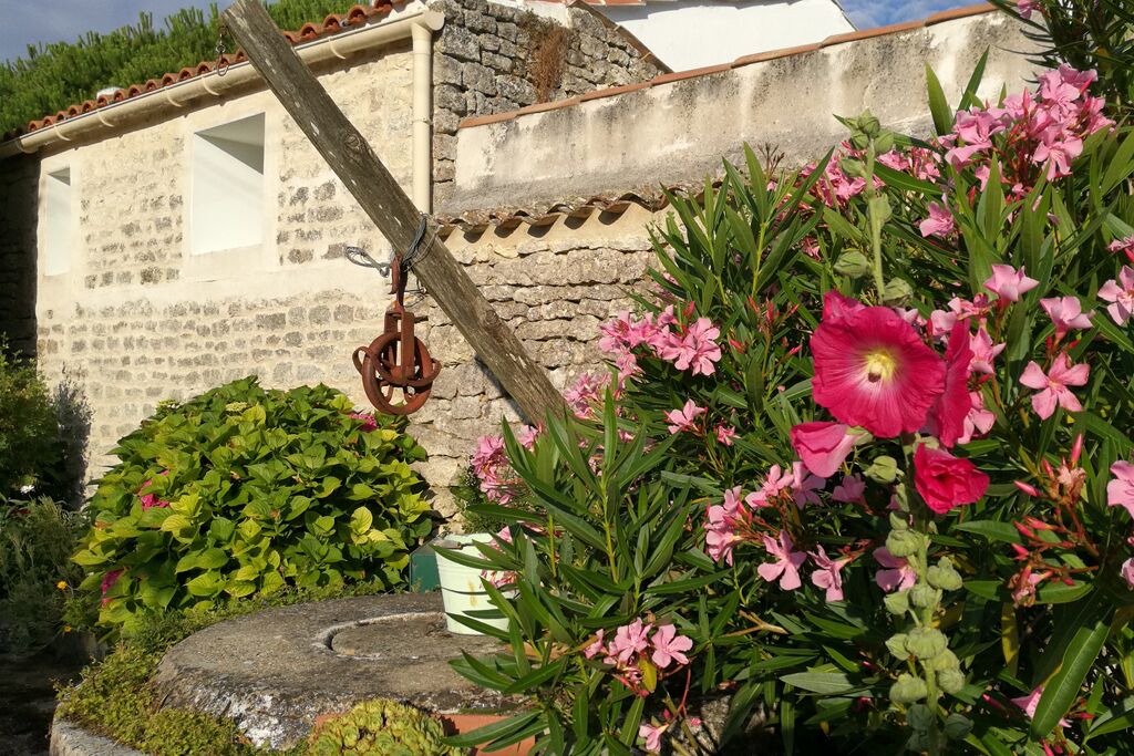 Photo of Outdoor in L'Echardiere