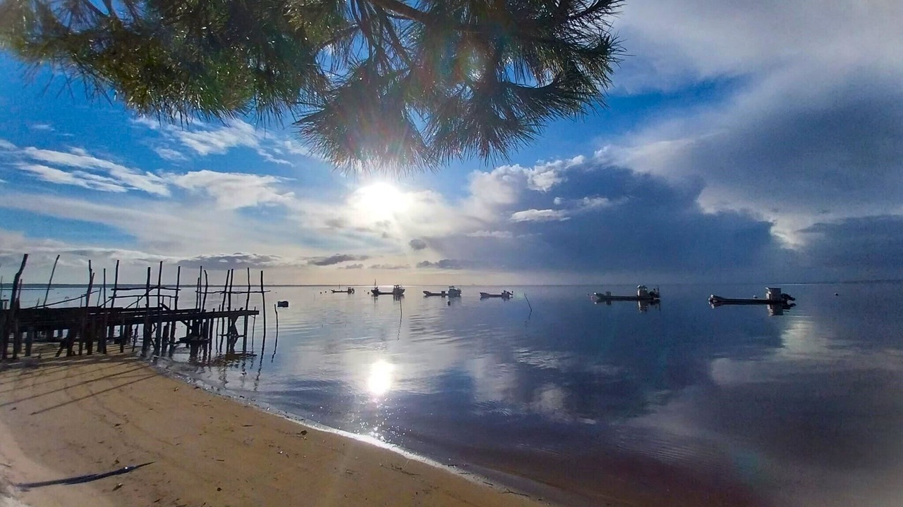 Photo of Others in Lege-Cap-Ferret