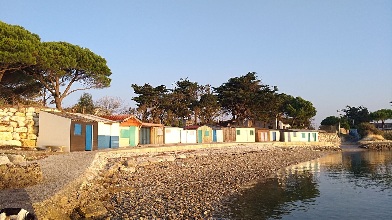 Photo of Outdoor in Angoulins