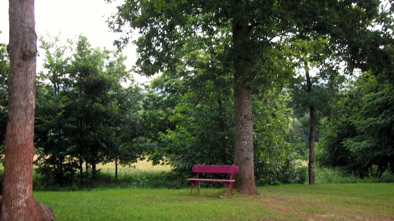 Photo of Outdoor in Cenac-et-Saint-Julien