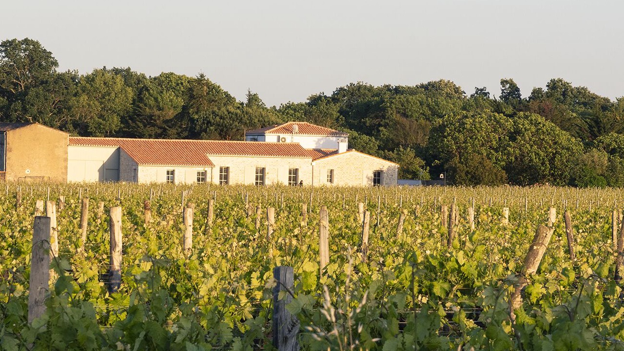 Photo of Outdoor in Saint-Pierre-d'Oleron