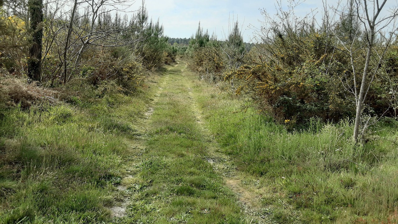 Photo of Outdoor in Beylongue