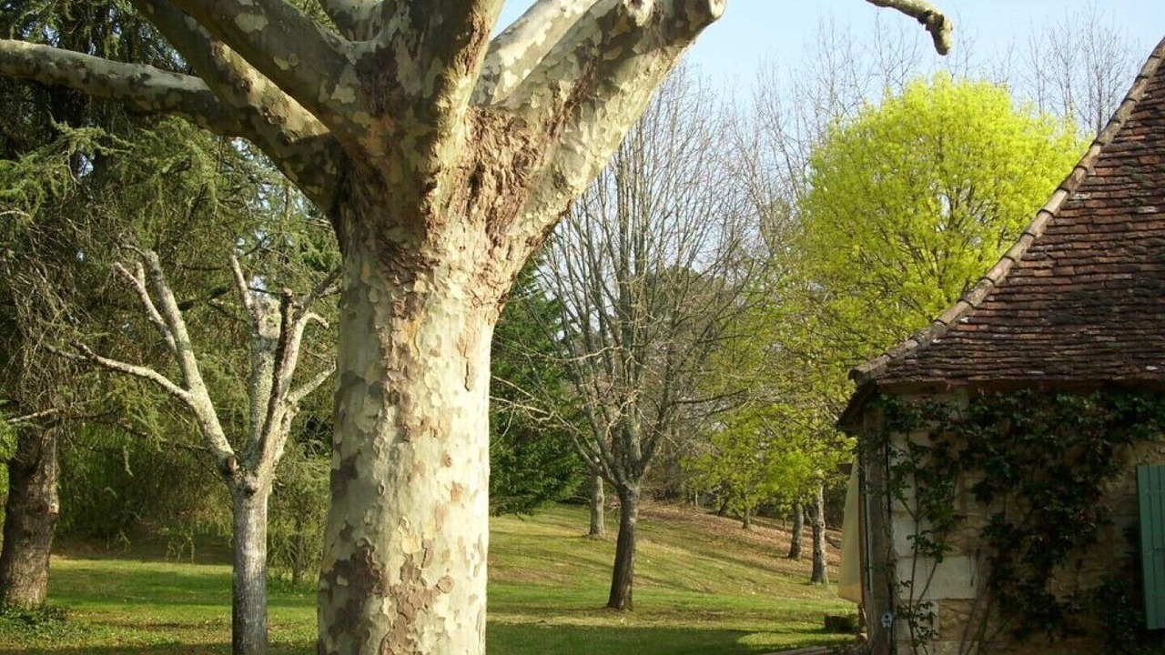 Photo of Outdoor in Lembras