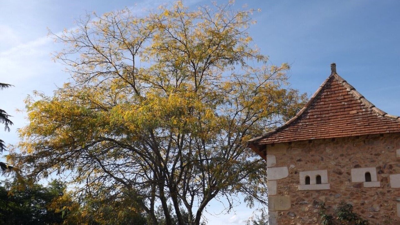 Photo of Outdoor in Lembras
