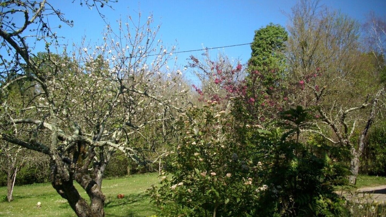 Photo of Outdoor in Lembras