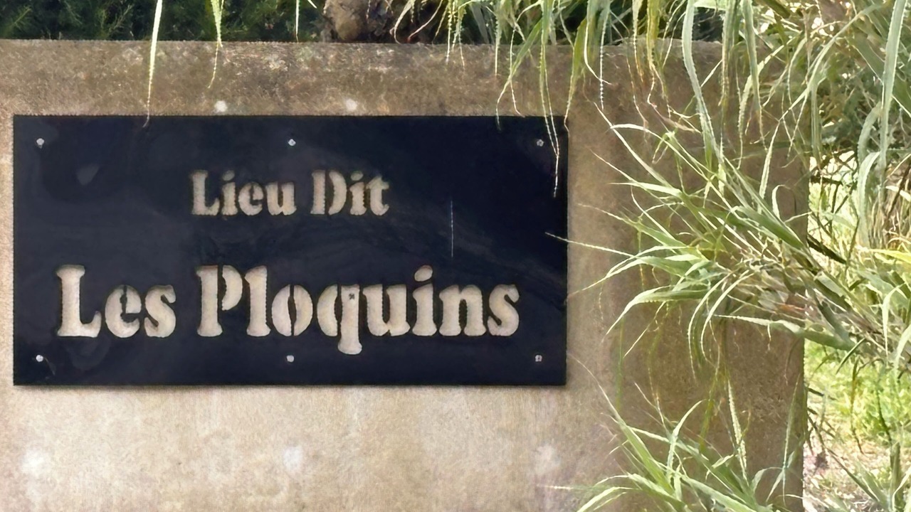 Photo of Outdoor in Marsilly