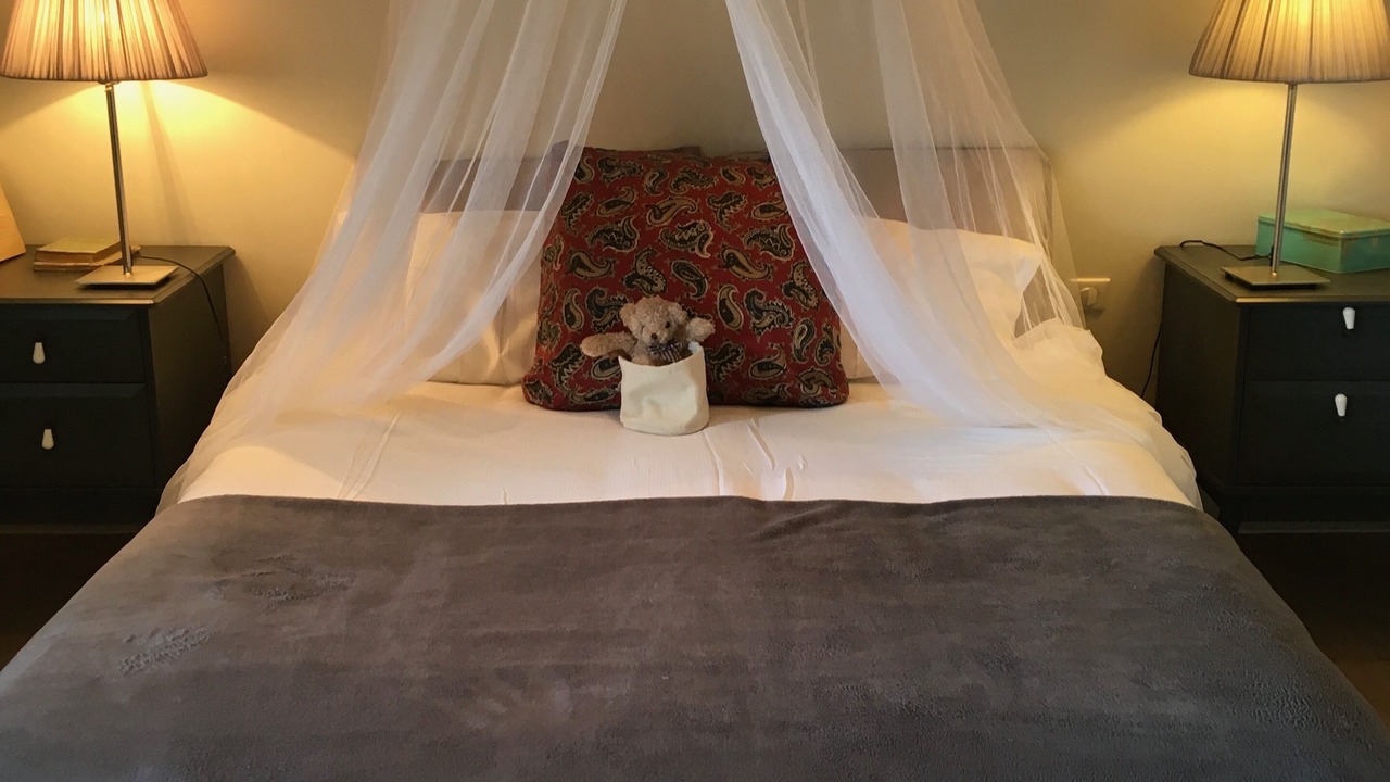 Photo of Bedroom in Bars