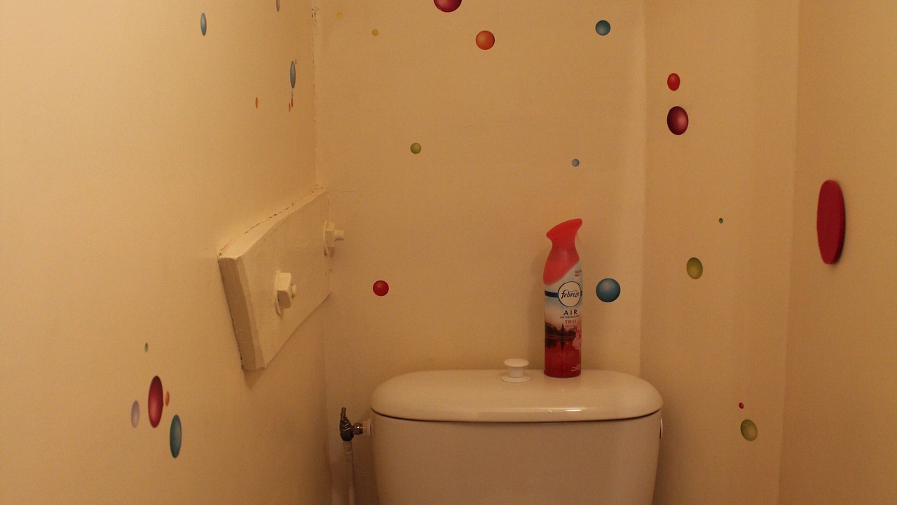Photo of Bathroom in Sainte-Mondane
