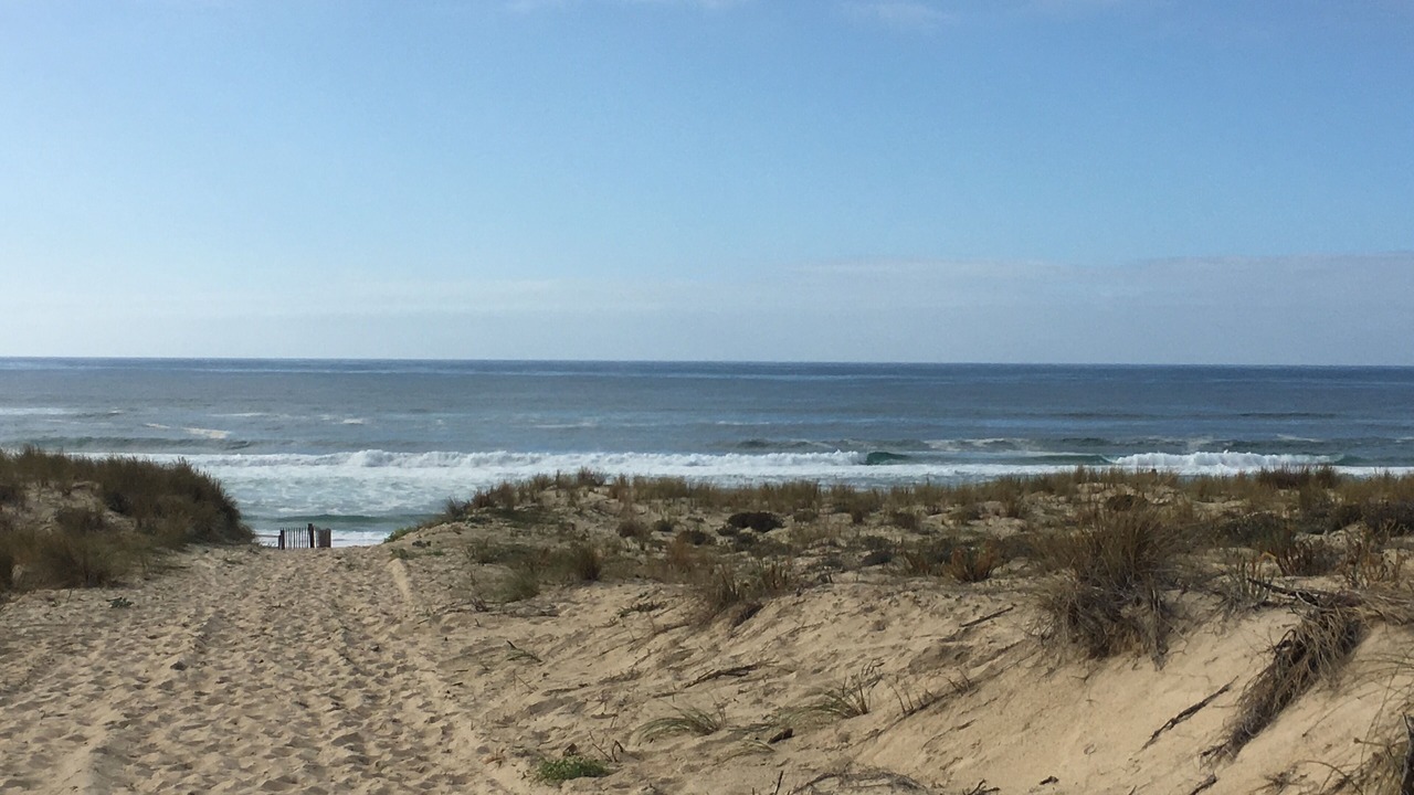 Photo of Others in Mimizan-Plage