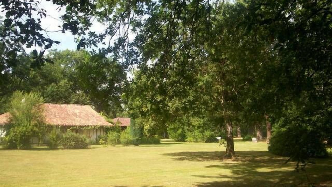 Photo of Outdoor in Sabres