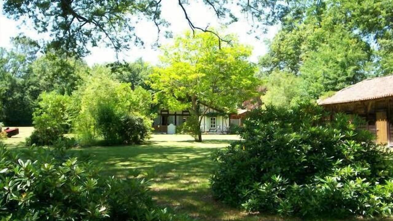 Photo of Outdoor in Sabres