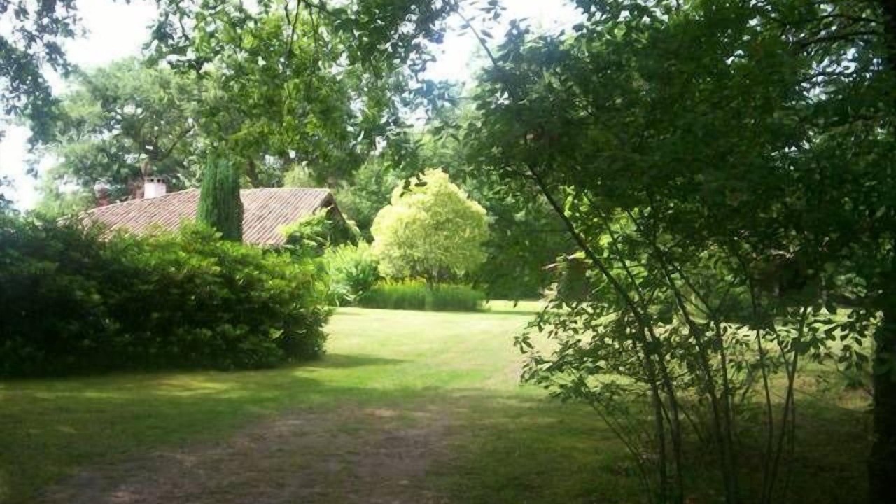 Photo of Outdoor in Sabres