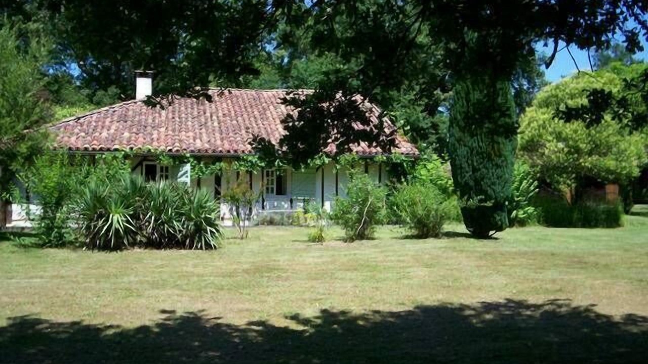 Photo of Outdoor in Sabres