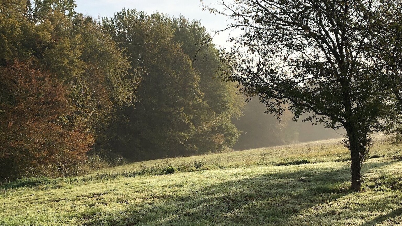 Photo of Outdoor in Sauveterre-la-Lemance