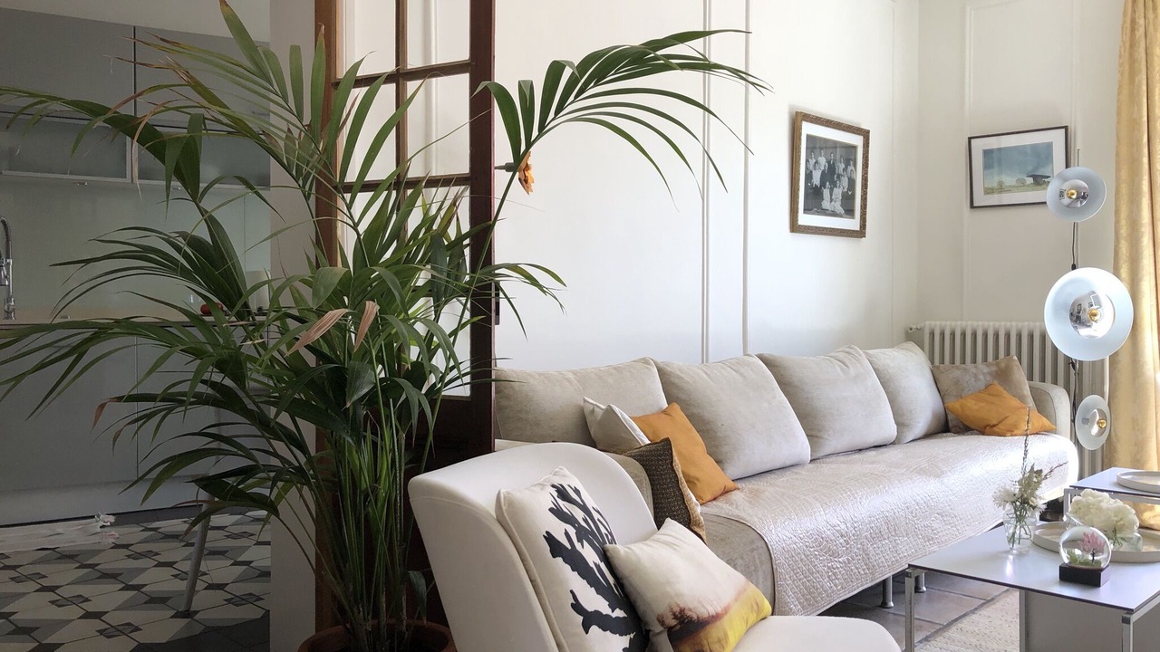 Photo of Livingroom in Ciboure