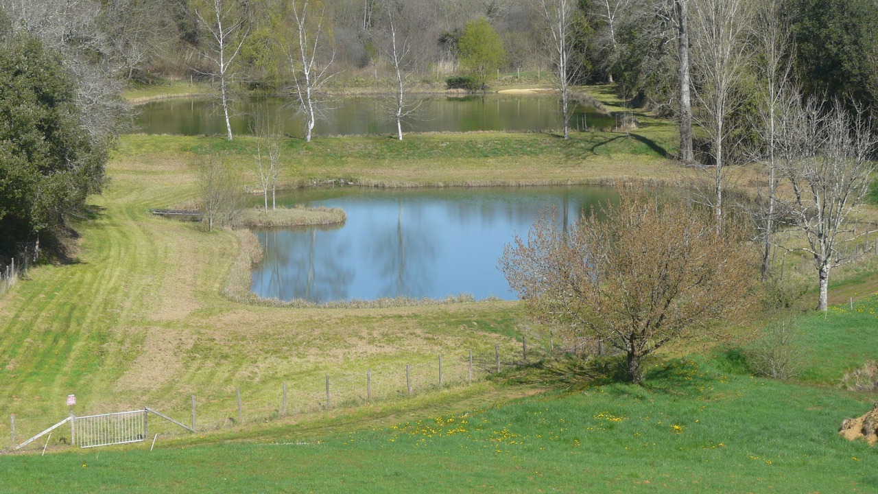 Photo of Outdoor in Proissans