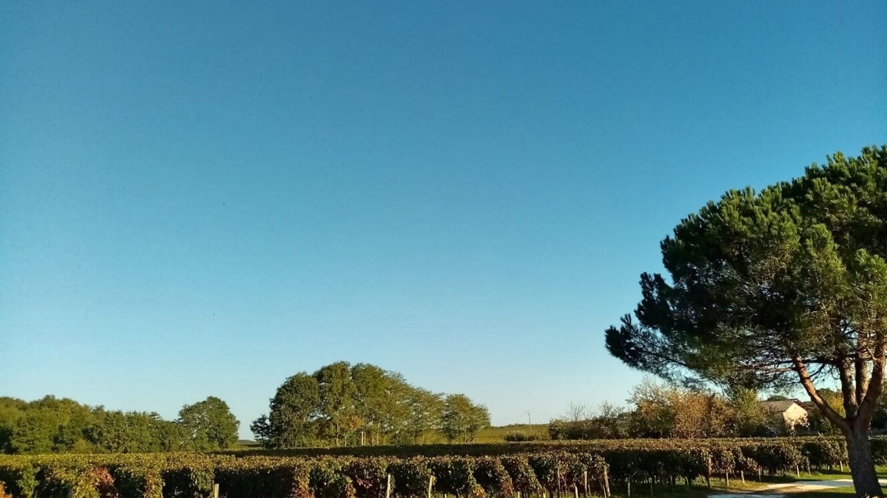 Photo of Outdoor in Lussac