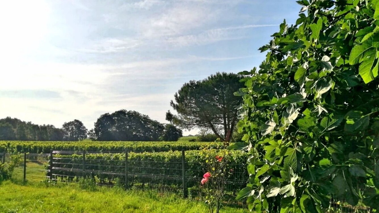 Photo of Outdoor in Lussac