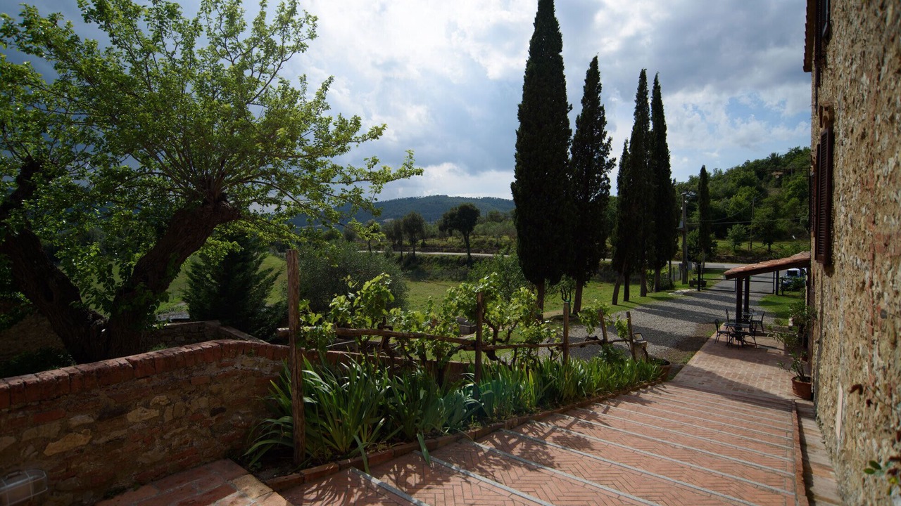Photo of Outdoor in Santo