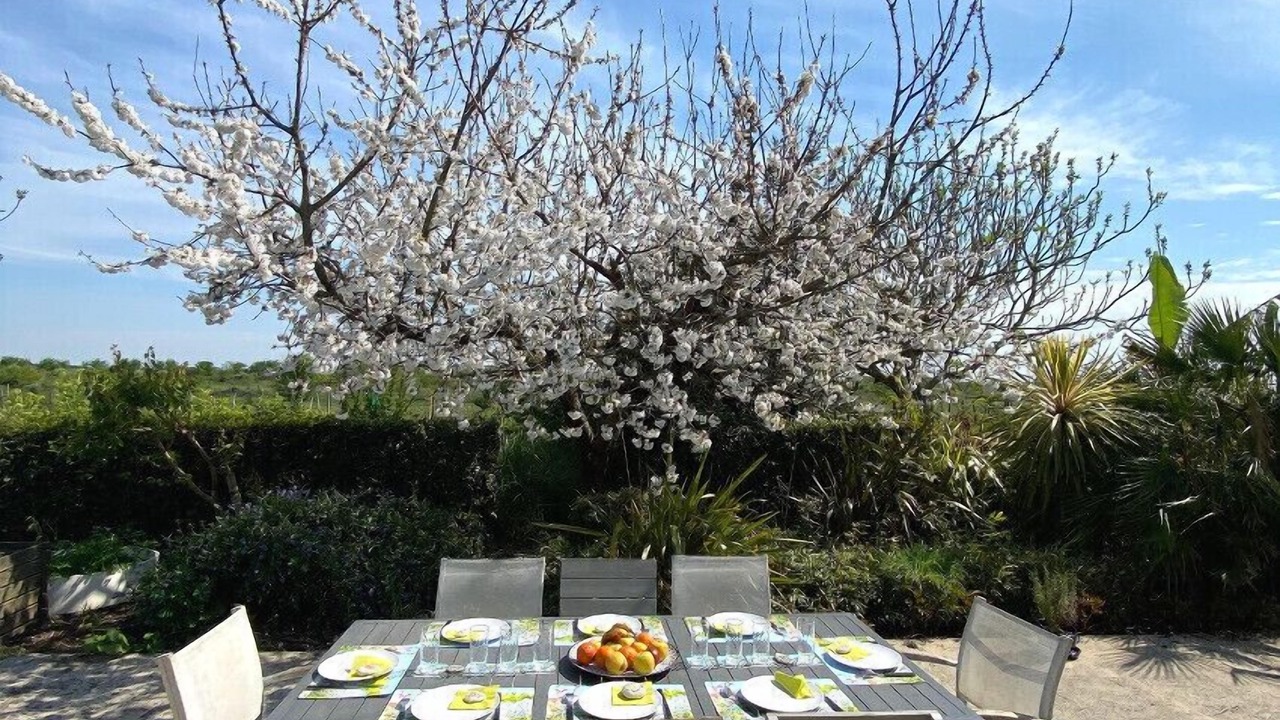 Photo of Outdoor in Cheray