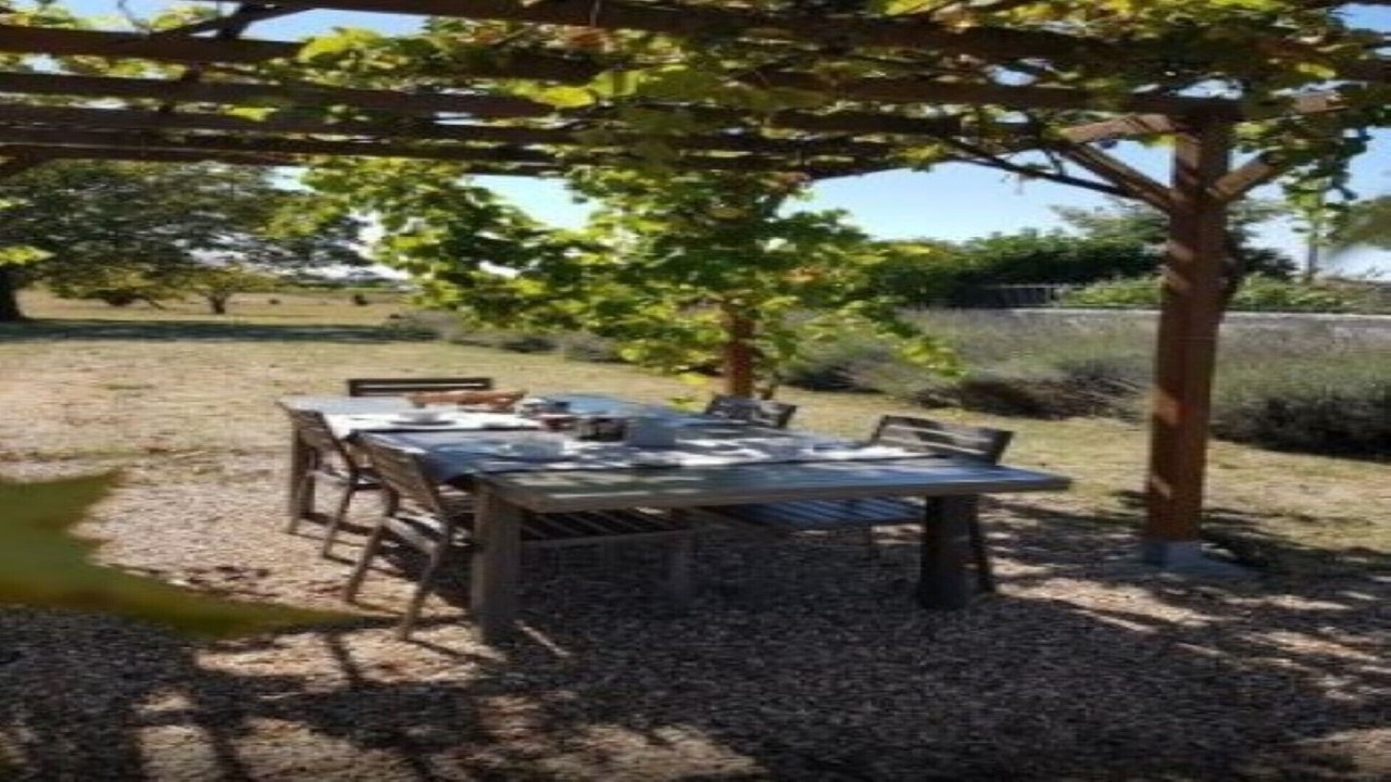 Photo of Outdoor in Tanzac