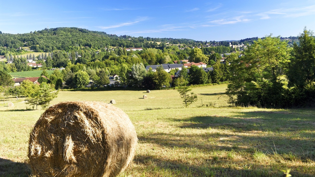 Photo of Others in Montignac