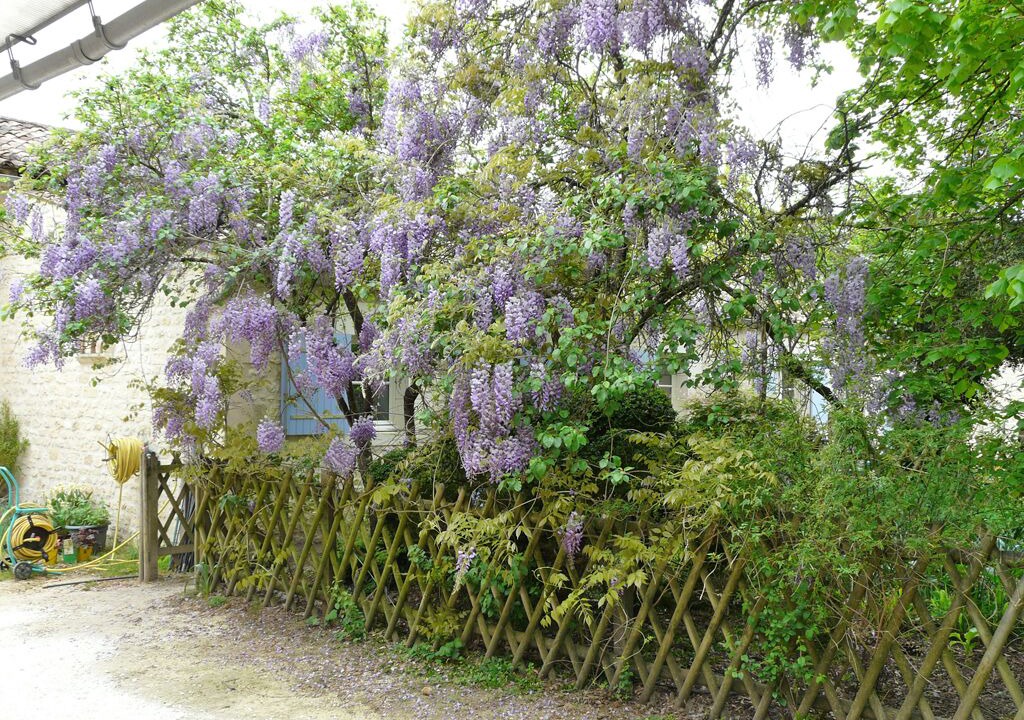 Photo of Outdoor in Saint-Palais-de-Phiolin